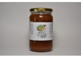 Мёд Алтайский дягилевый 500г